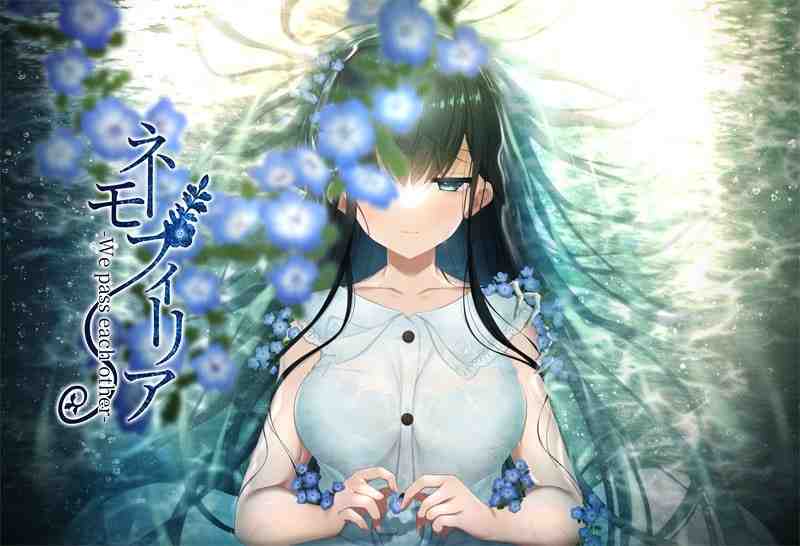 喜林草 -我们擦肩而过- / ネモフィリア -We pass each other- v1.30 PC端 AI汉化完整版 预览图